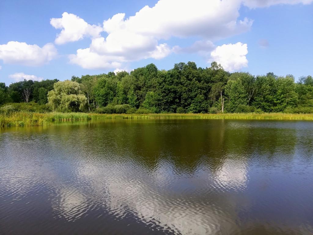 Photo: Foster Pond Photo: Foster Pond