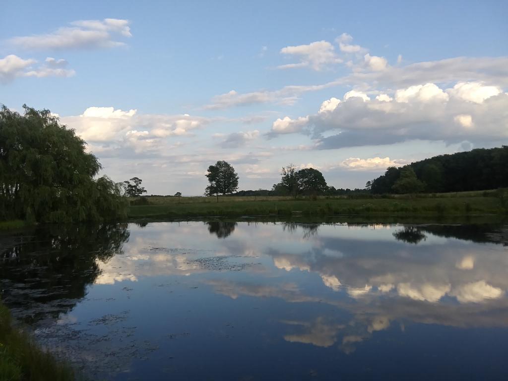 Photo: Ballard Pond