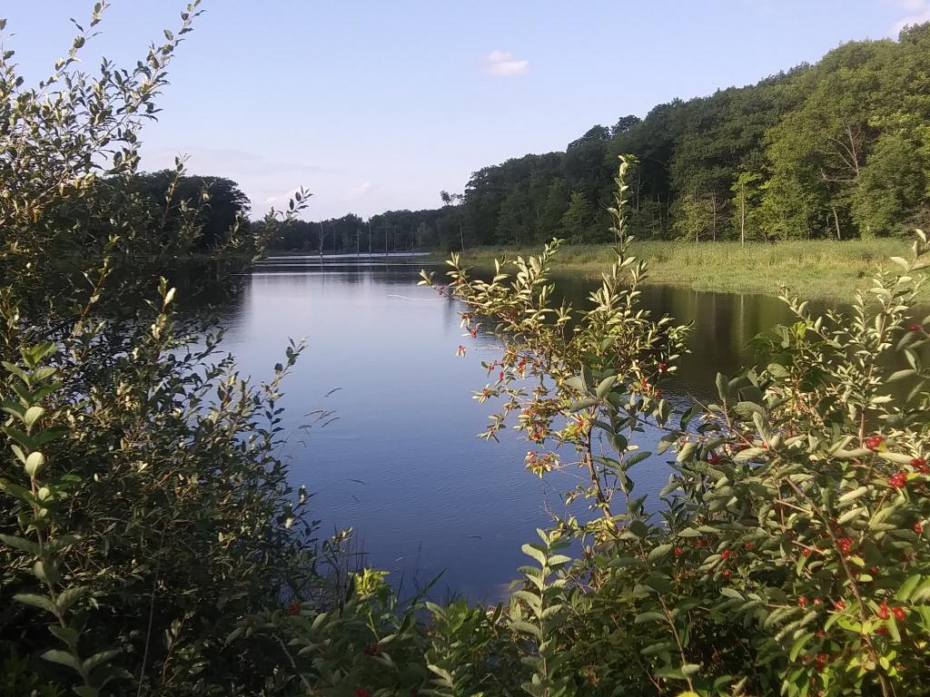 Photo: Teeter Pond