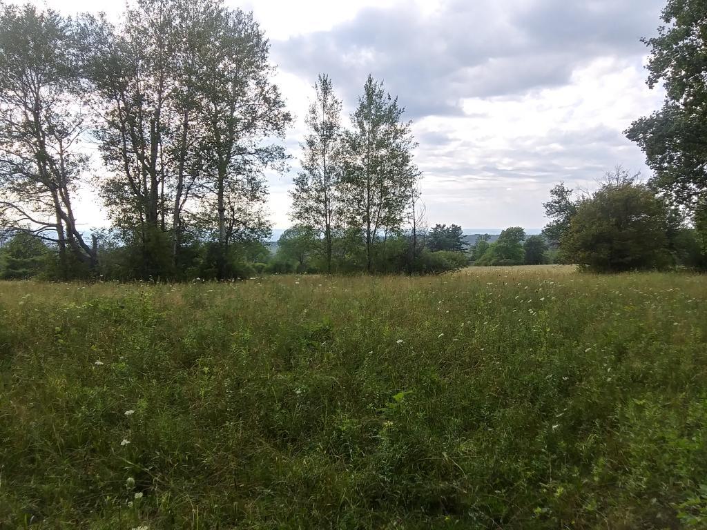 Photo: Grasslands