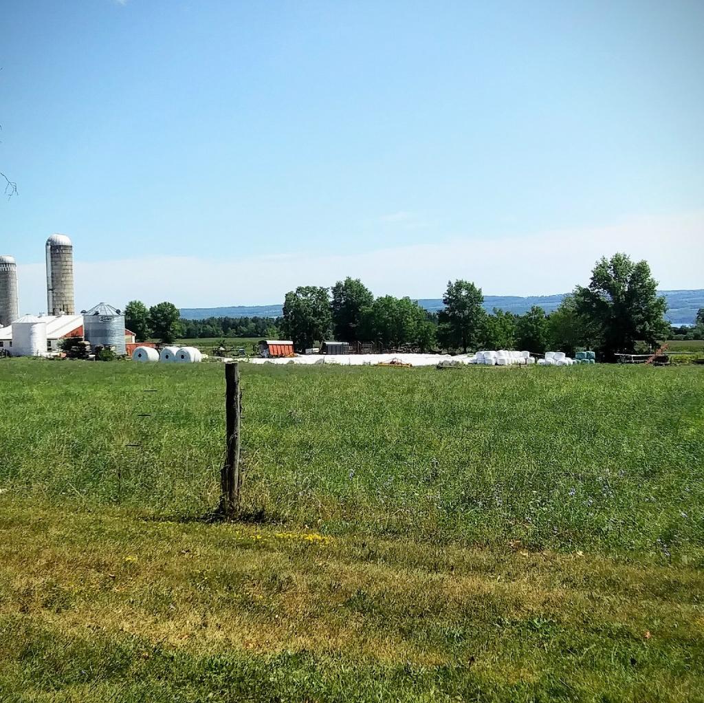 Photo: Scenic Vista