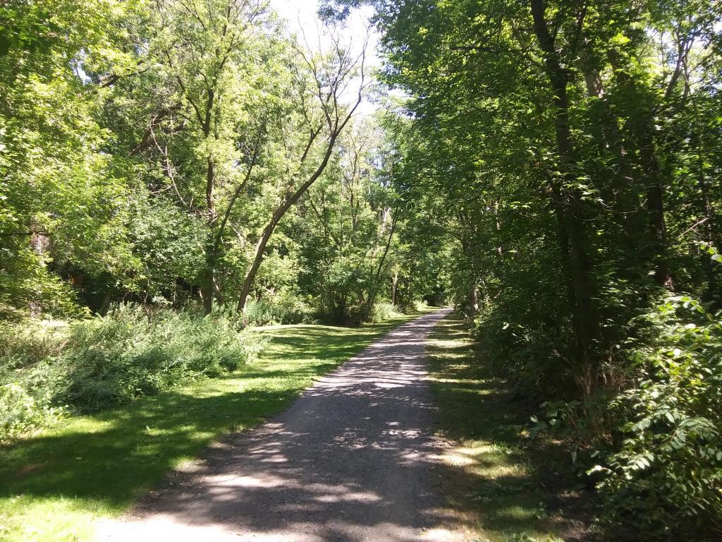 Photo: Nice quiet trail along the creek
