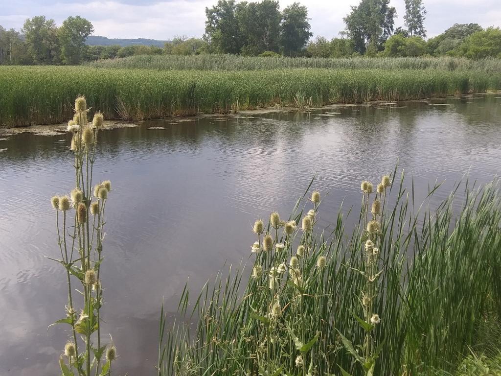 Photo: Seneca Lake Outlet
