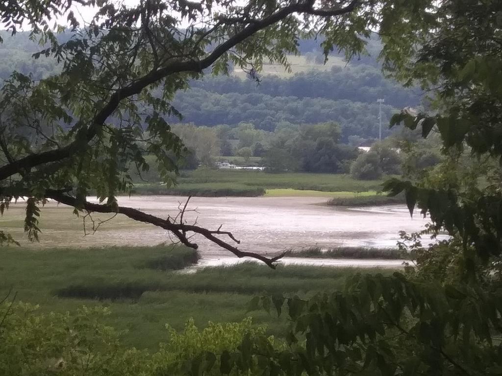 Photo: Mud Flats Photo: Mud Flats