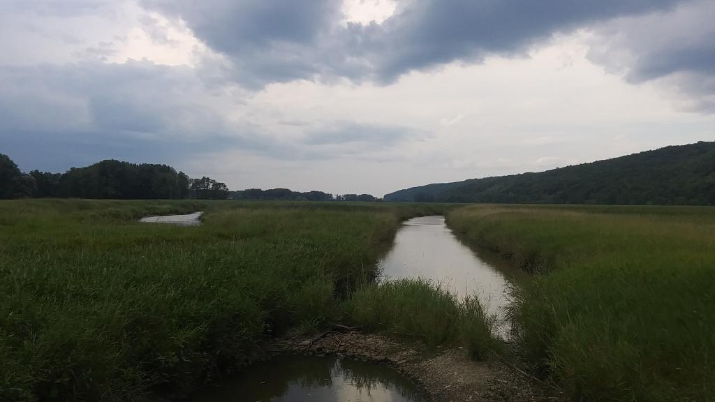 Photo: Waterways Photo: Waterways