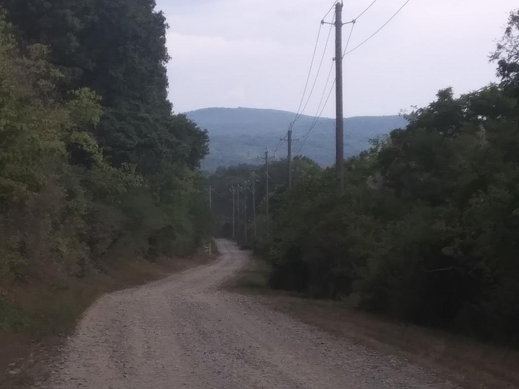 Photo: Rock Cabin Road is super scenic Photo: Rock Cabin Road is super scenic