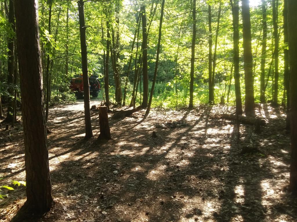 Photo: Made sure my campsite was real clean when I left Photo: Made sure my campsite was real clean when I left