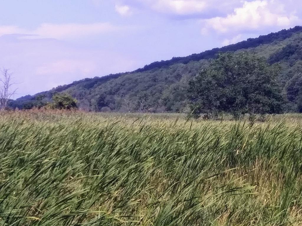 Photo: Grasslands Photo: Grasslands