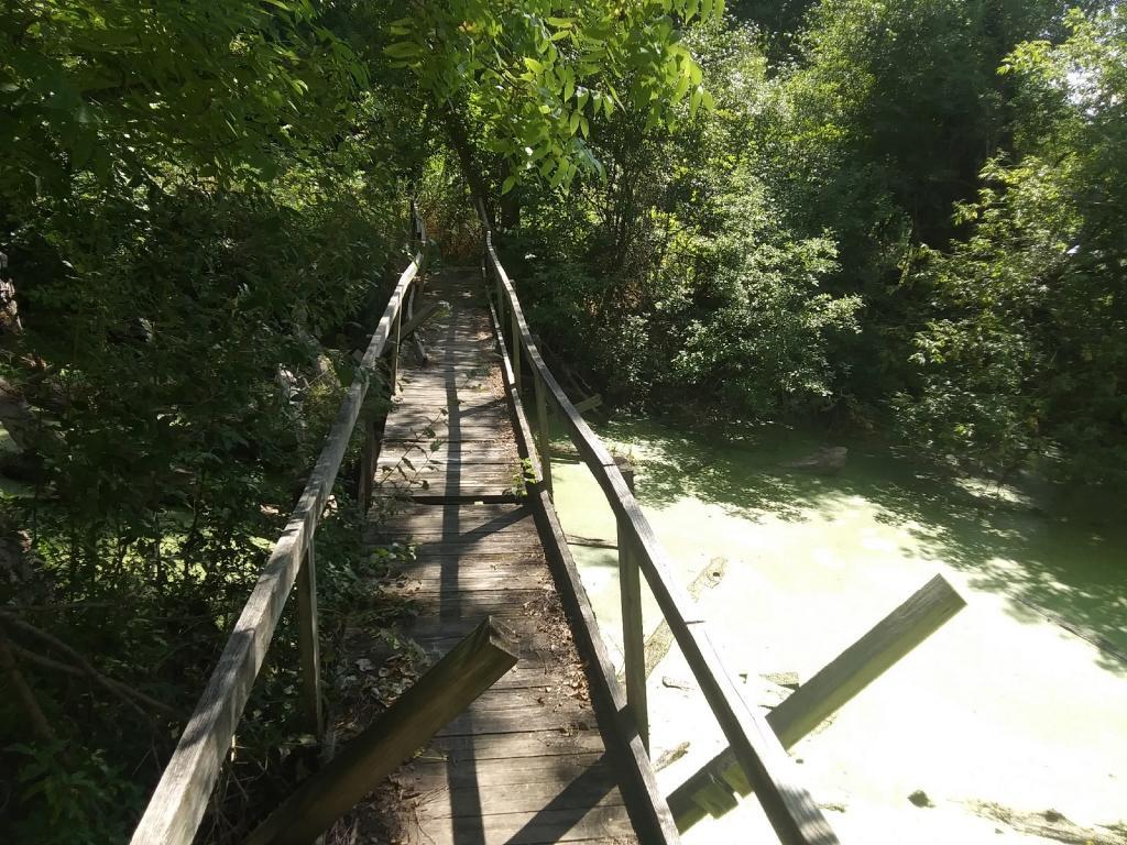 Photo: Unsafe Bridge Photo: Unsafe Bridge