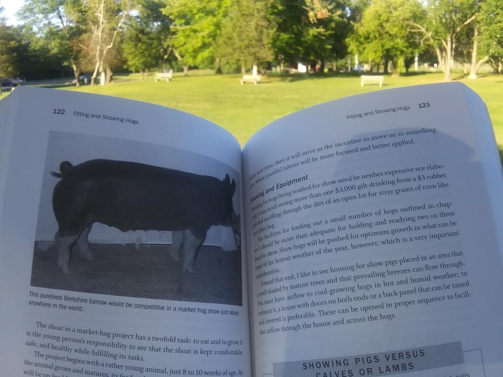 Photo: Only a few more evenings reading at the park after work