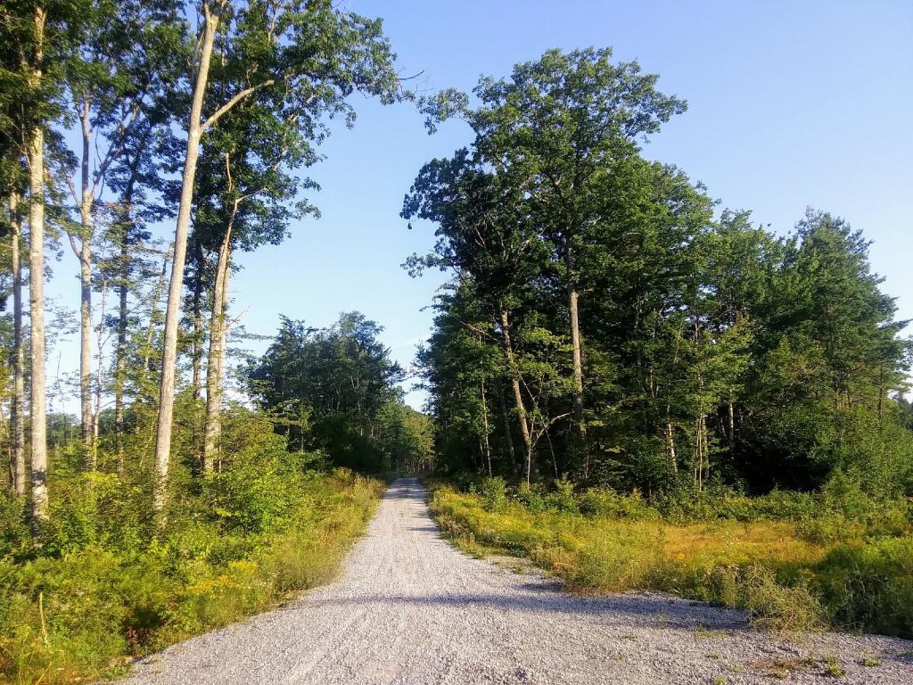 Photo: Duck Pond Road 🚘 Photo: Duck Pond Road 🚘