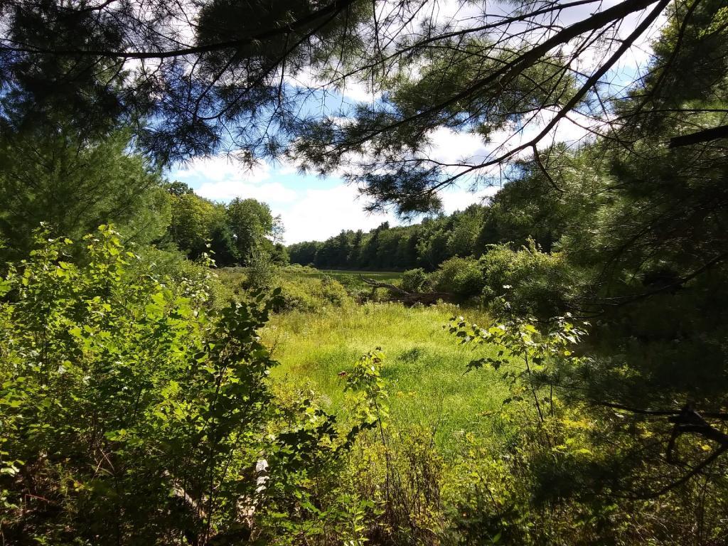 Photo: Wetlands Photo: Wetlands