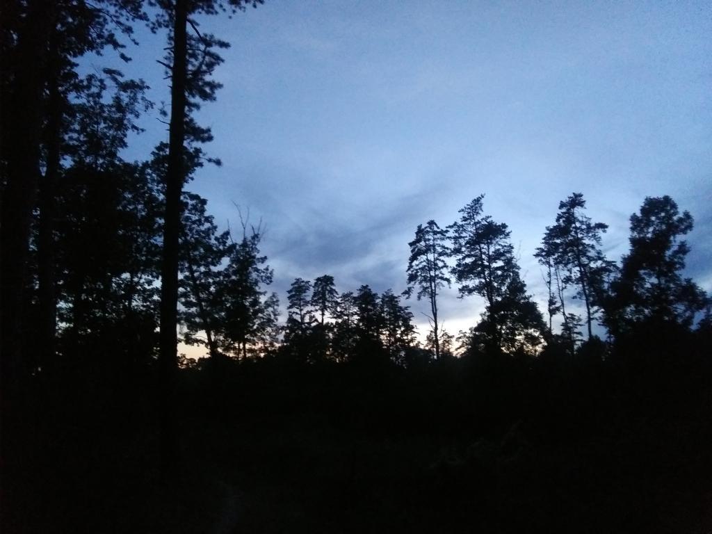 Photo: Dark so quickly Photo: Dark so quickly
