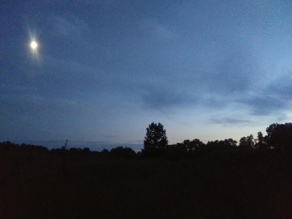 Photo: Moonlit landscape