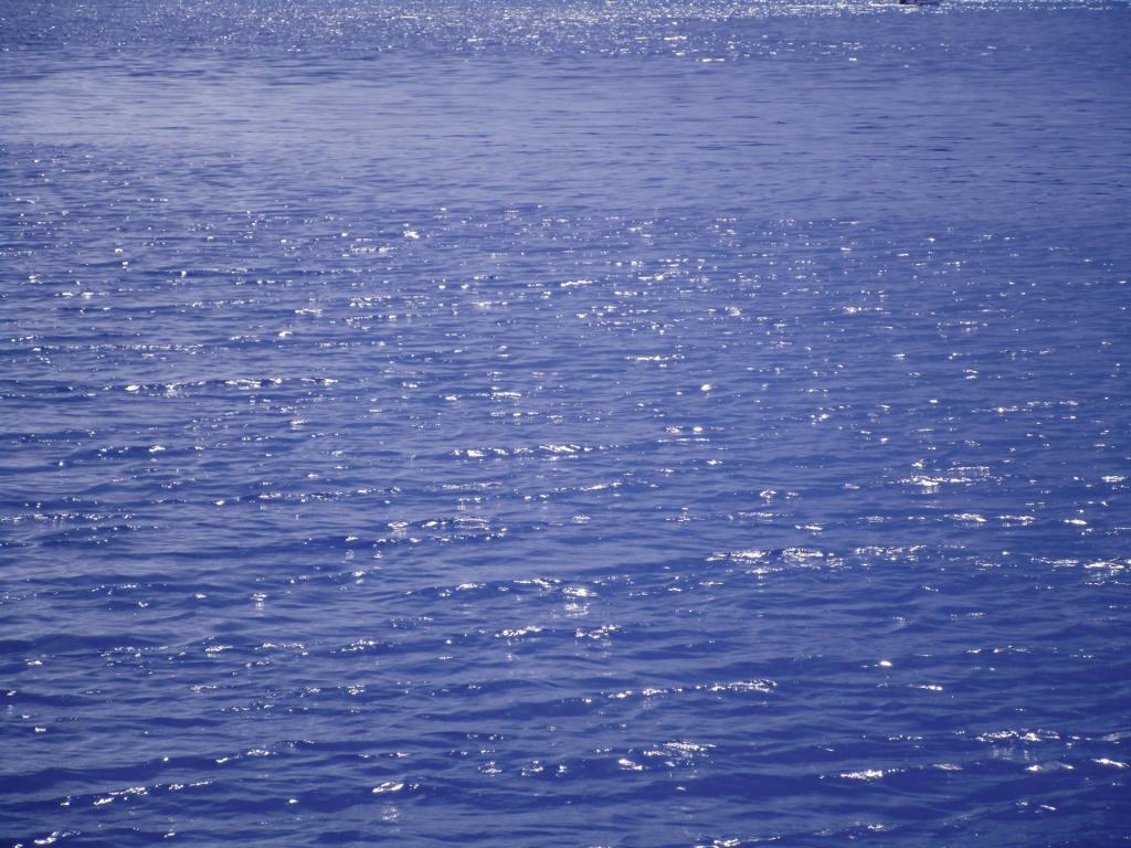 Photo: Currents