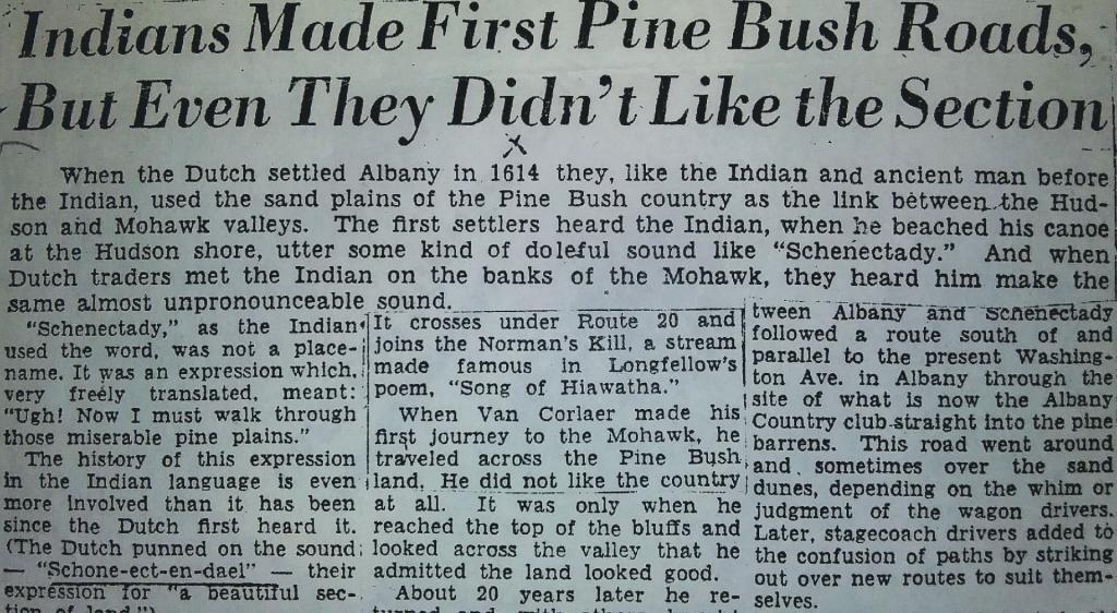 Photo: Even the Indians didn't like the Albany Pine Bush