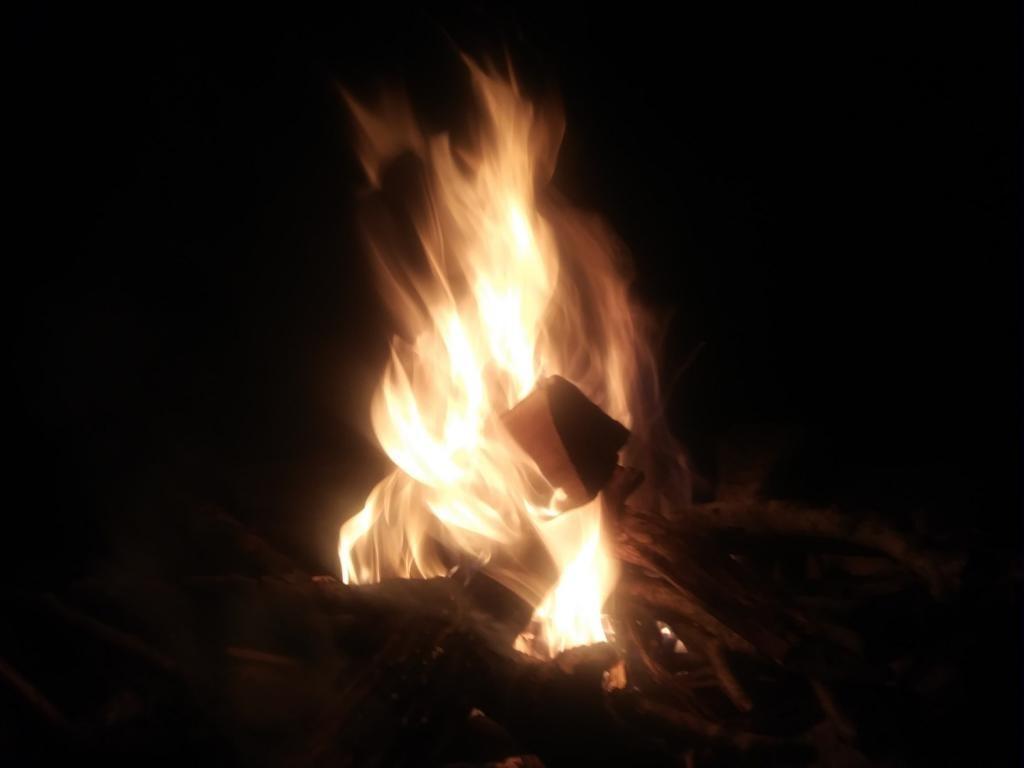 Photo: Nice campfire Photo: Nice campfire