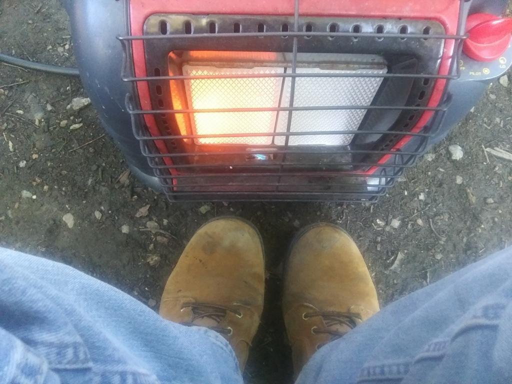 Photo: Warmth is nice Photo: Warmth is nice