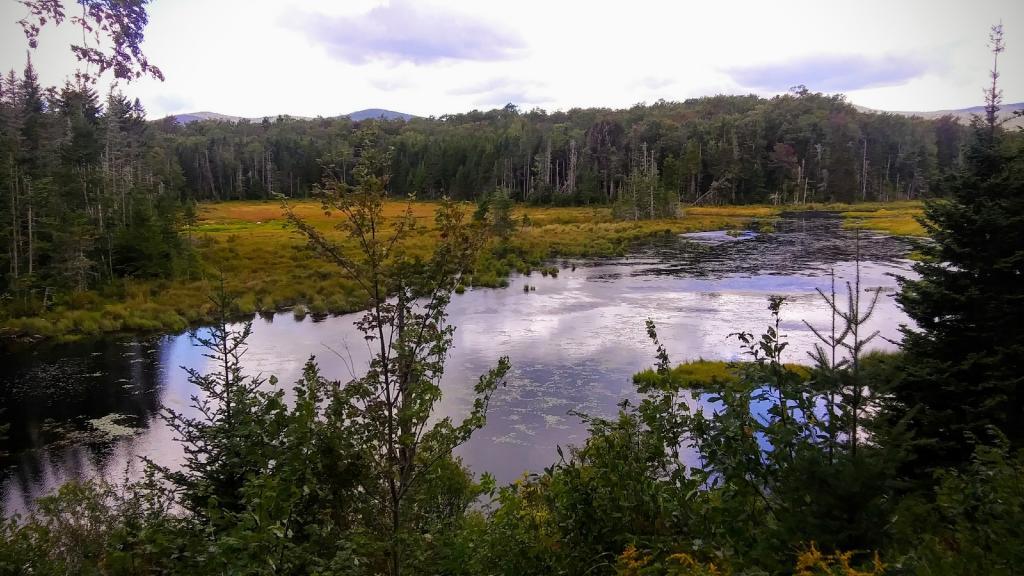 Photo: Shep Meadow