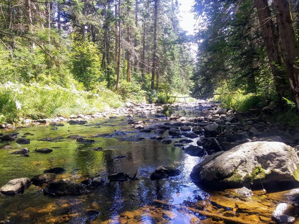 Photo: Stopped down at the Deerfield River