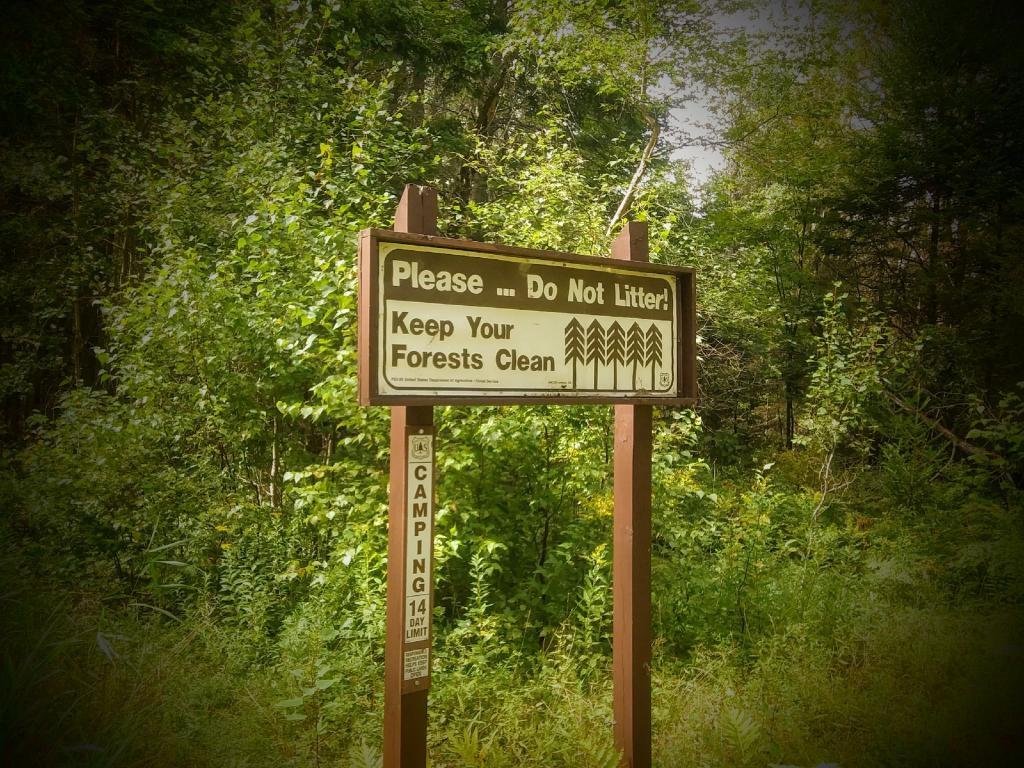 Photo: Please don't litter