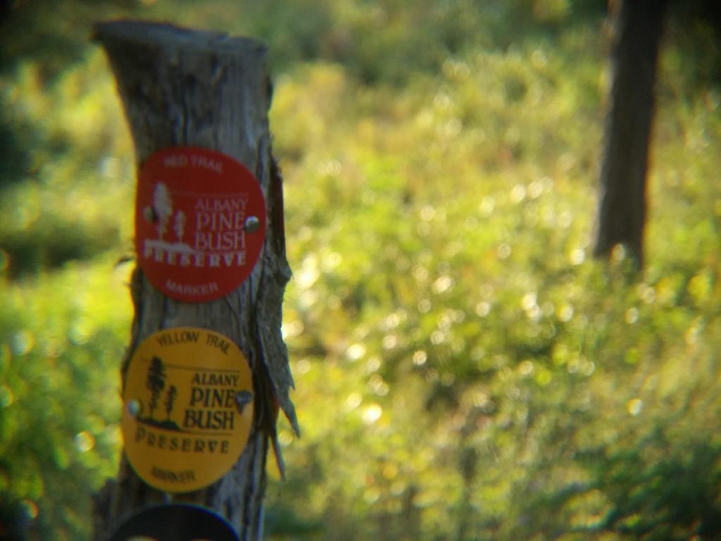 Photo: Red and Yellow Trail
