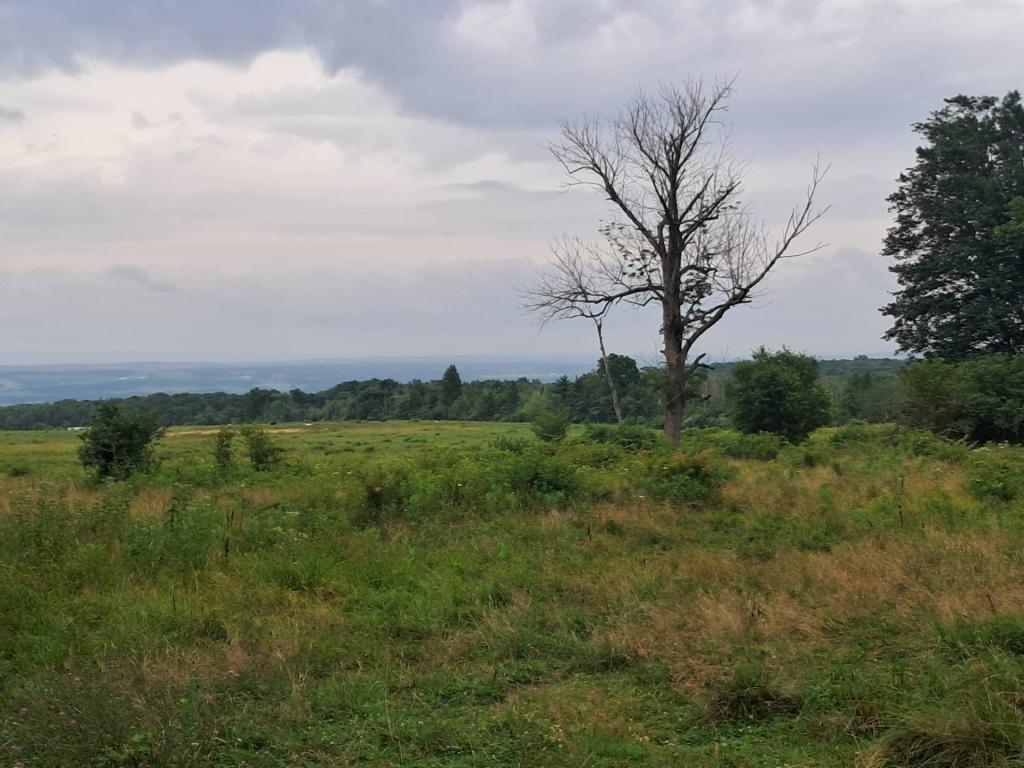 Photo: Valley [Expires August 16 2026]