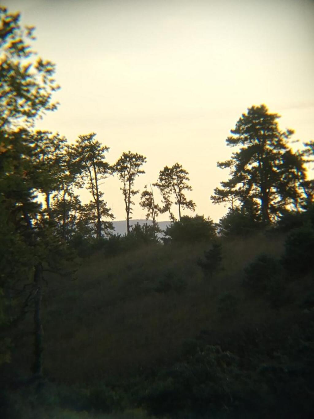 Photo: Northwest Photo: Northwest