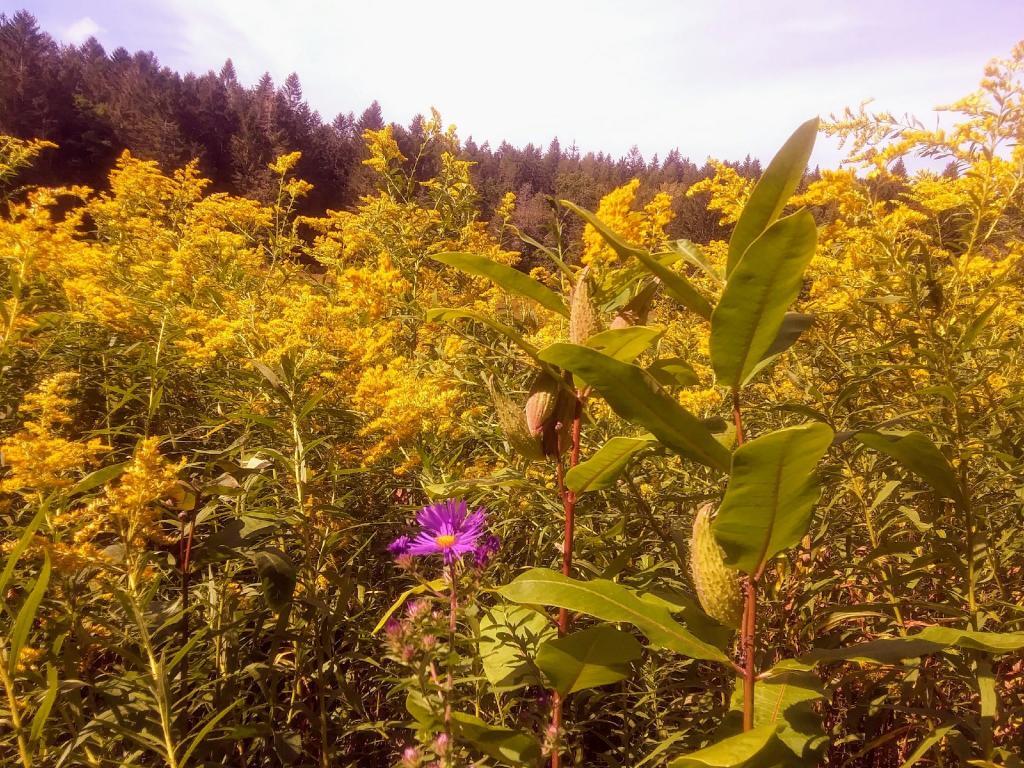Photo: September Colors