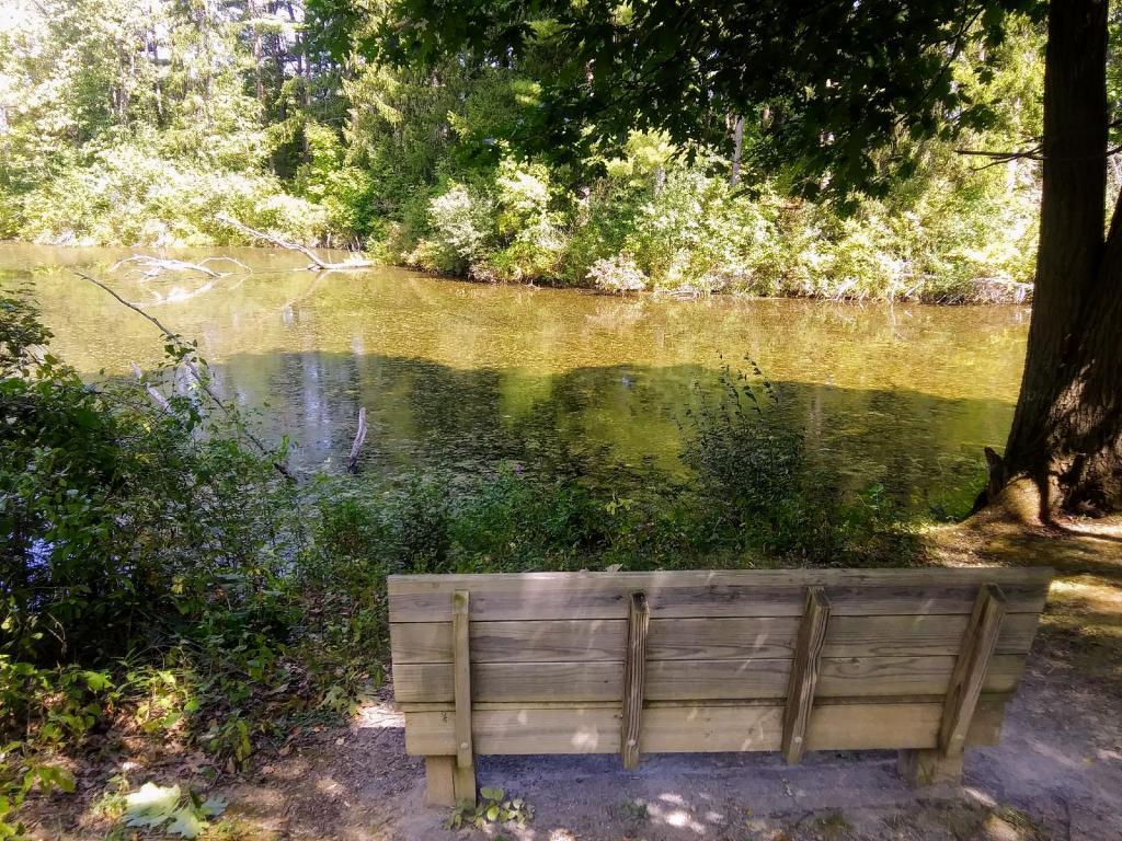 Photo: Nice place to sit and think