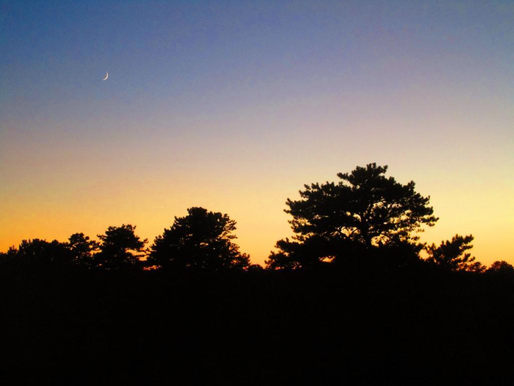 Photo: Moon