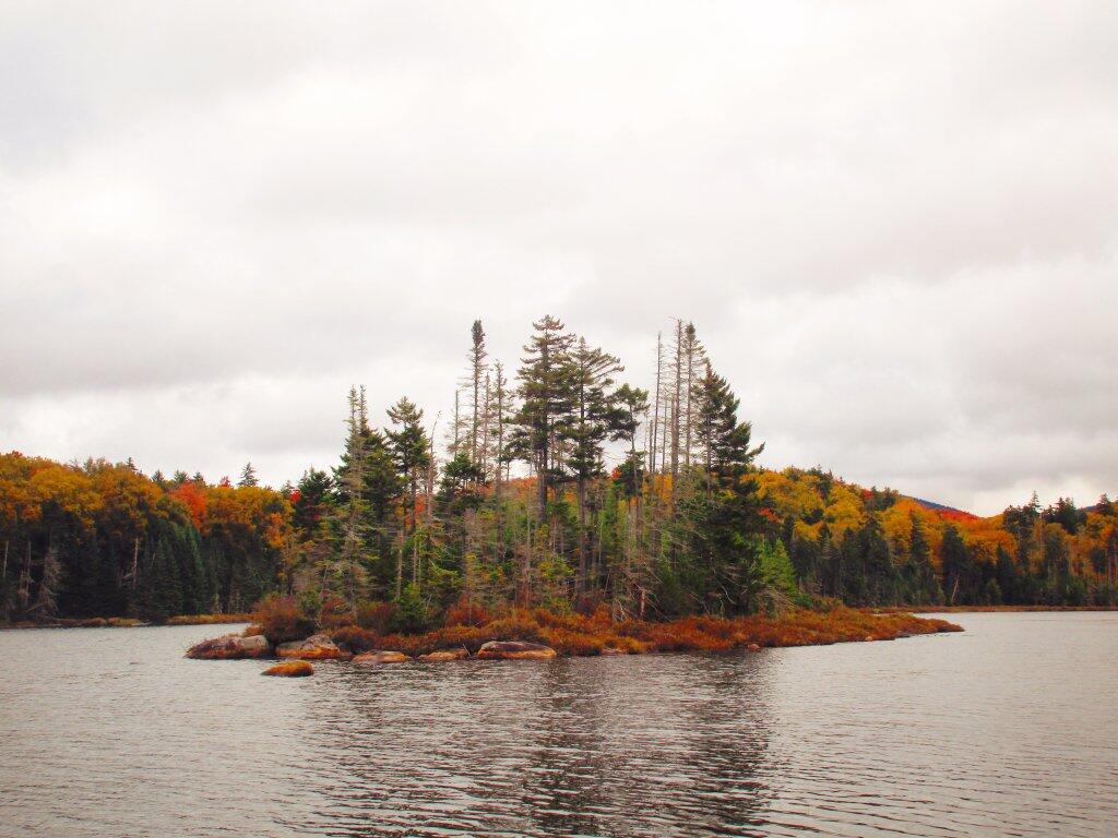 Photo: Island Photo: Island