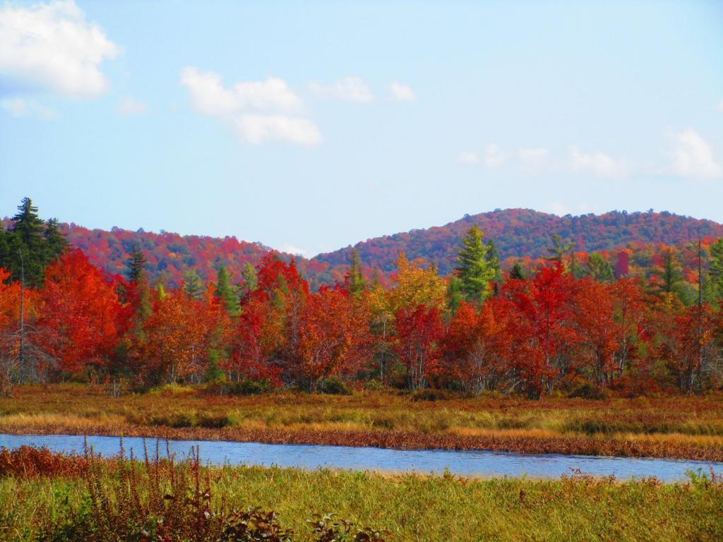Photo: Sacandaga River Photo: Sacandaga River
