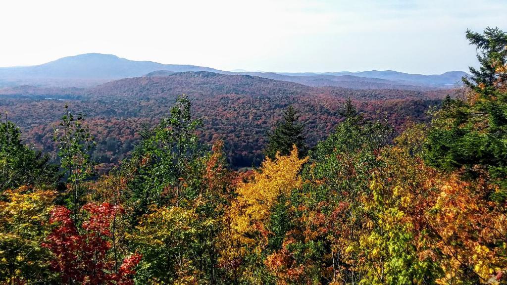 Photo: Colors are past peak looking down at the Blue Ridge Wilderness Photo: Colors are past peak looking down at the Blue Ridge Wilderness