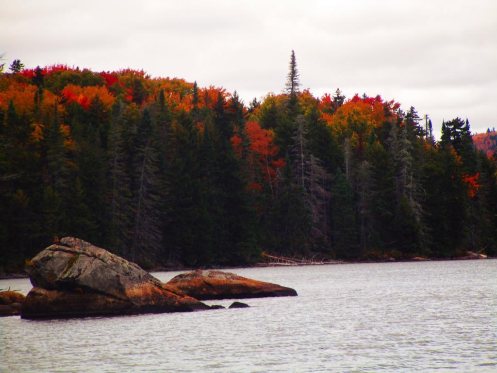 Photo: Autumn Colors Photo: Autumn Colors