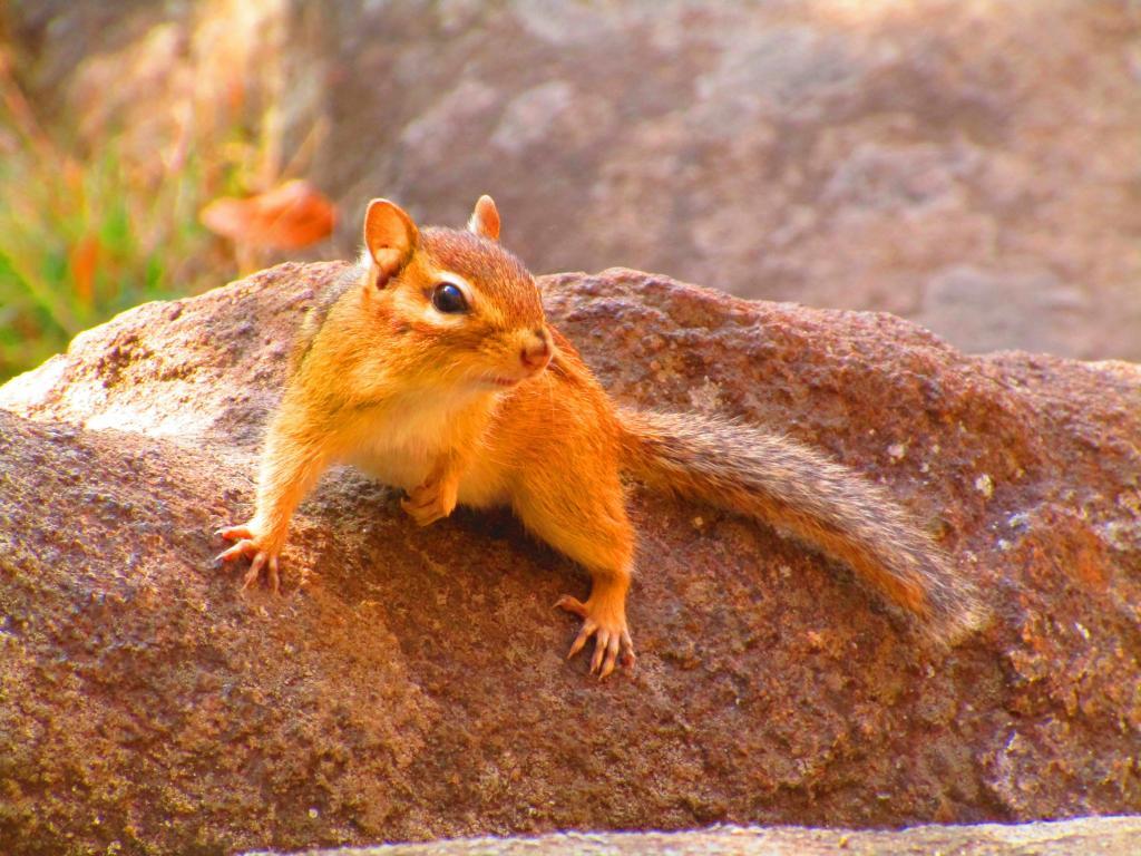 Photo: On the Ledge of Sawyer Mountain Photo: On the Ledge of Sawyer Mountain