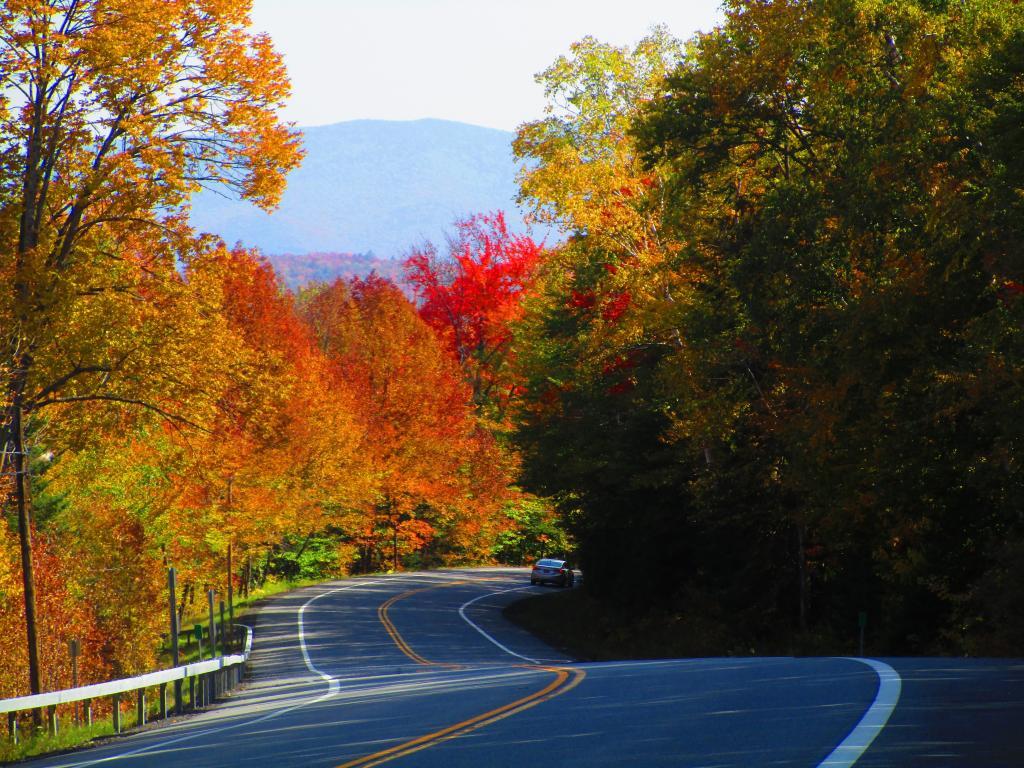 Photo: NY 30 Heading Off Sawyer Mountain Photo: NY 30 Heading Off Sawyer Mountain