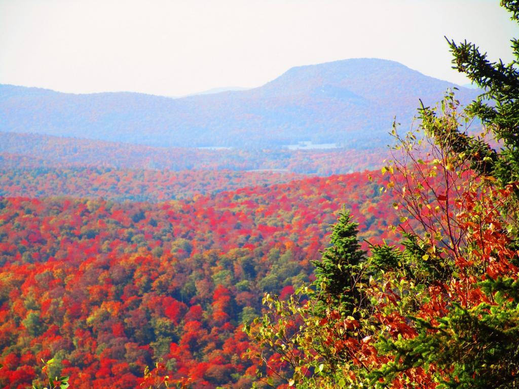 Photo: Blue Mountain Photo: Blue Mountain
