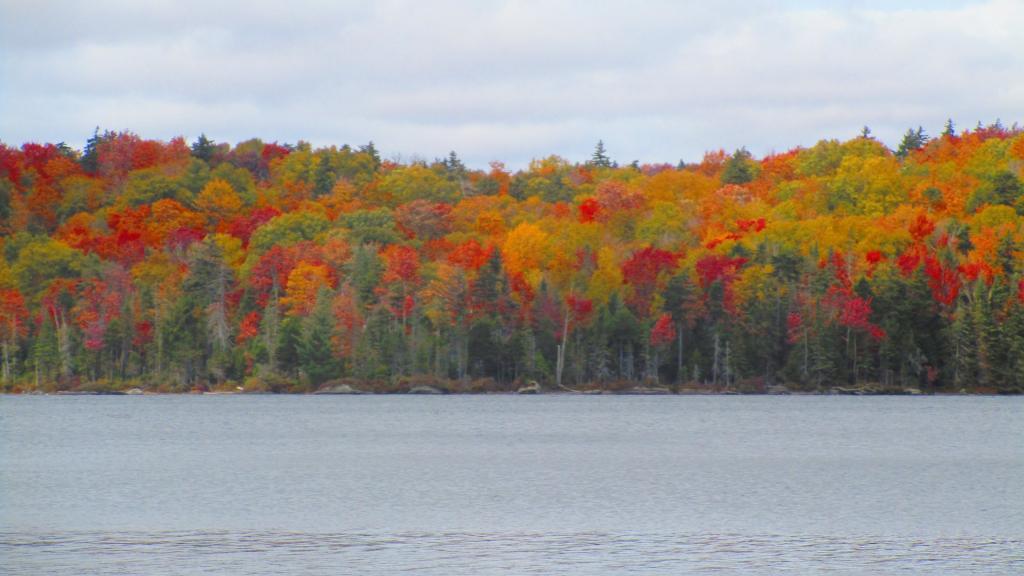 Photo: Reds of Autumn Photo: Reds of Autumn