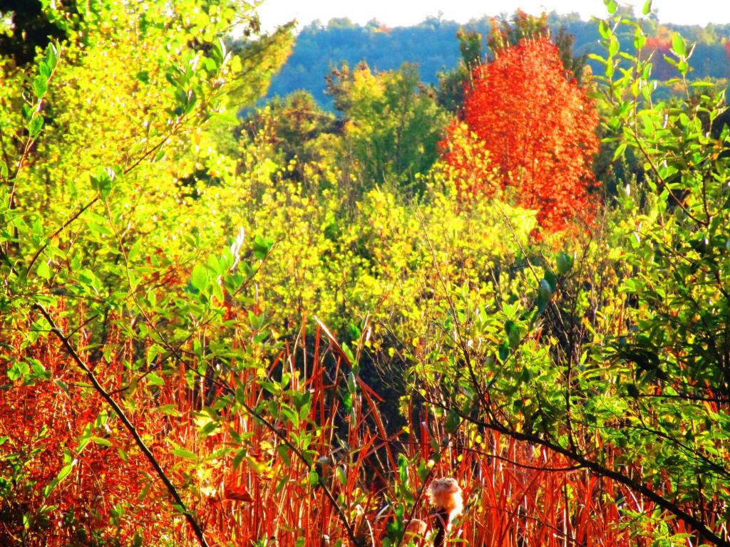 Photo: Hints of Autumn Photo: Hints of Autumn