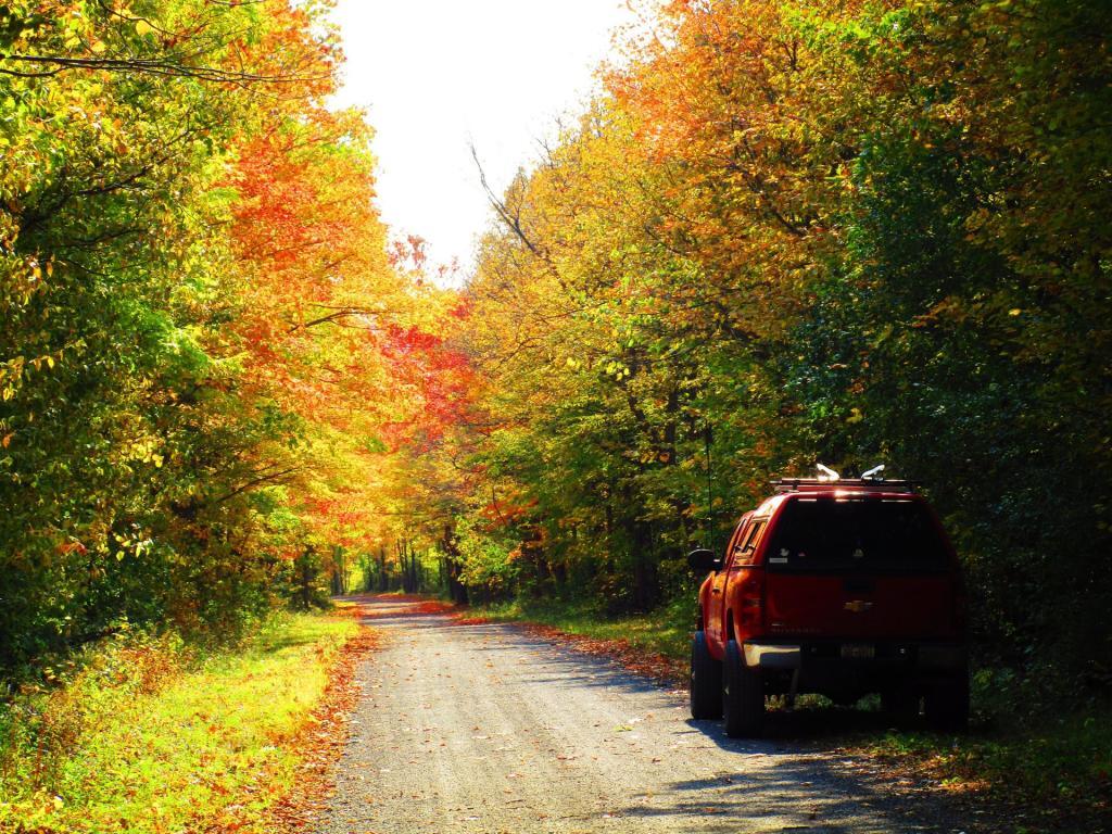 Photo: Big Red on Ryan Road Photo: Big Red on Ryan Road