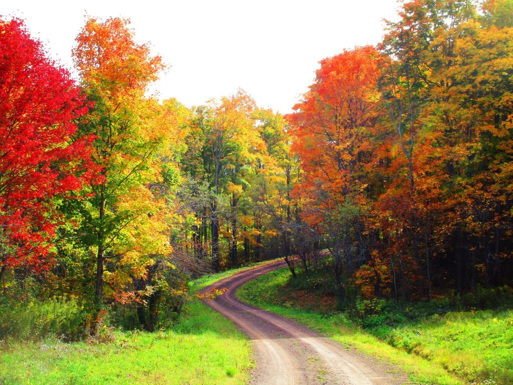 Photo: Boys Camp Road
