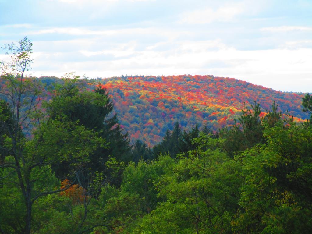 Photo: East Hill Photo: East Hill