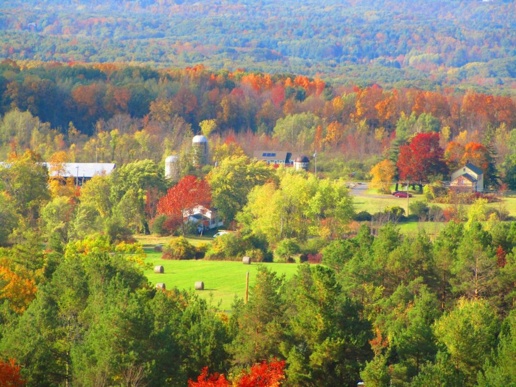 Photo: Knox Overlook Photo: Knox Overlook