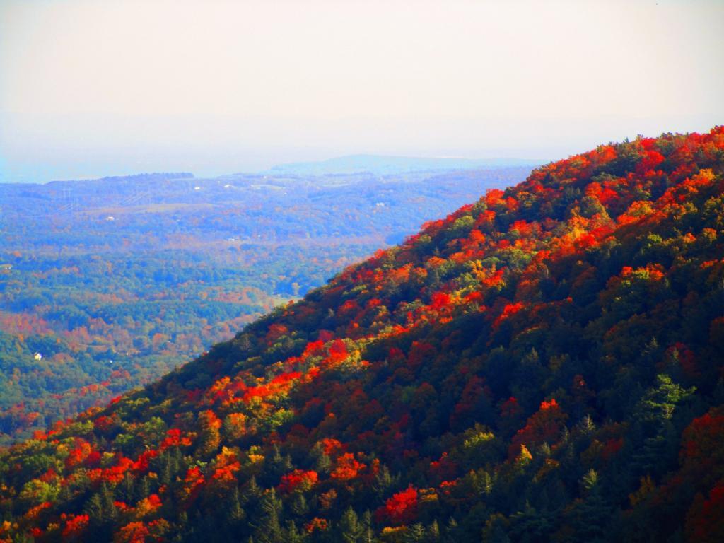 Photo: Beyond North Point