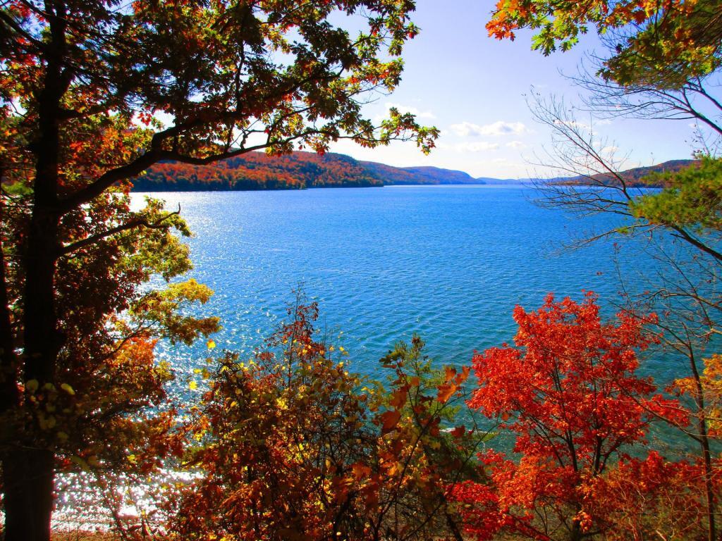 Photo: Overlook