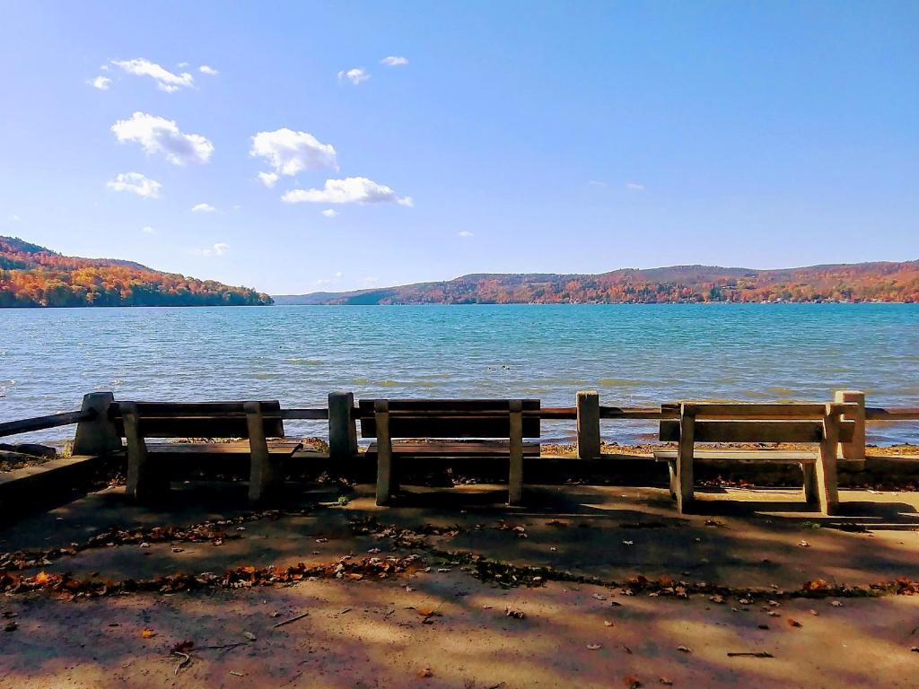 Photo: Benches Photo: Benches