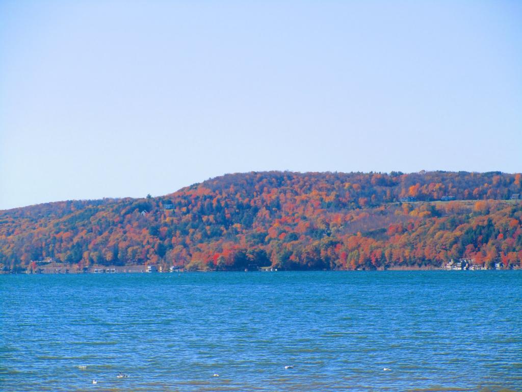 Photo: Across the Lake