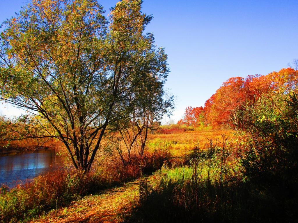 Photo: Field