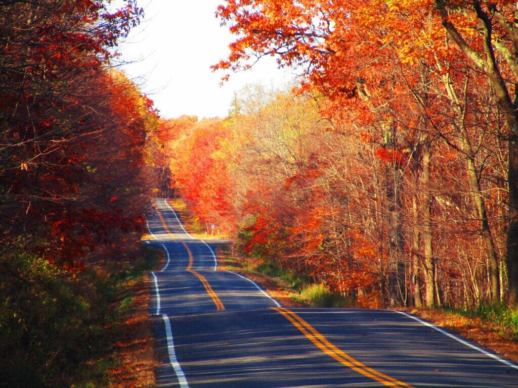 Photo: Hilly